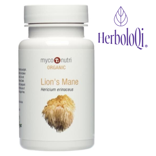 Lion's Mane ( Hericium Erinaceus- Organic)